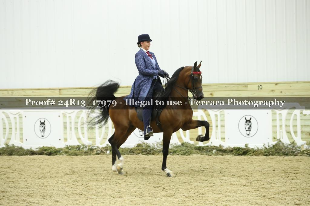 Proof Number 24R13_17979