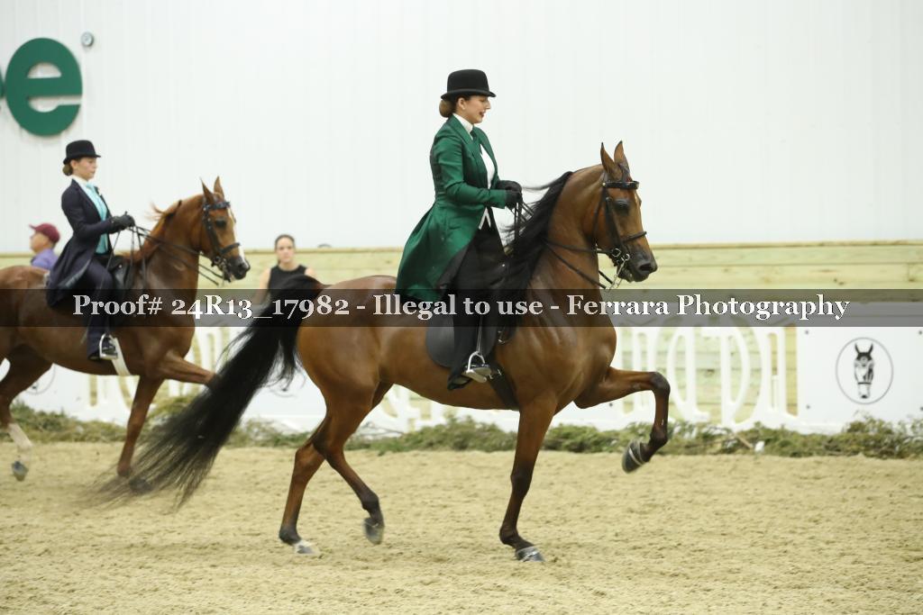 Proof Number 24R13_17982