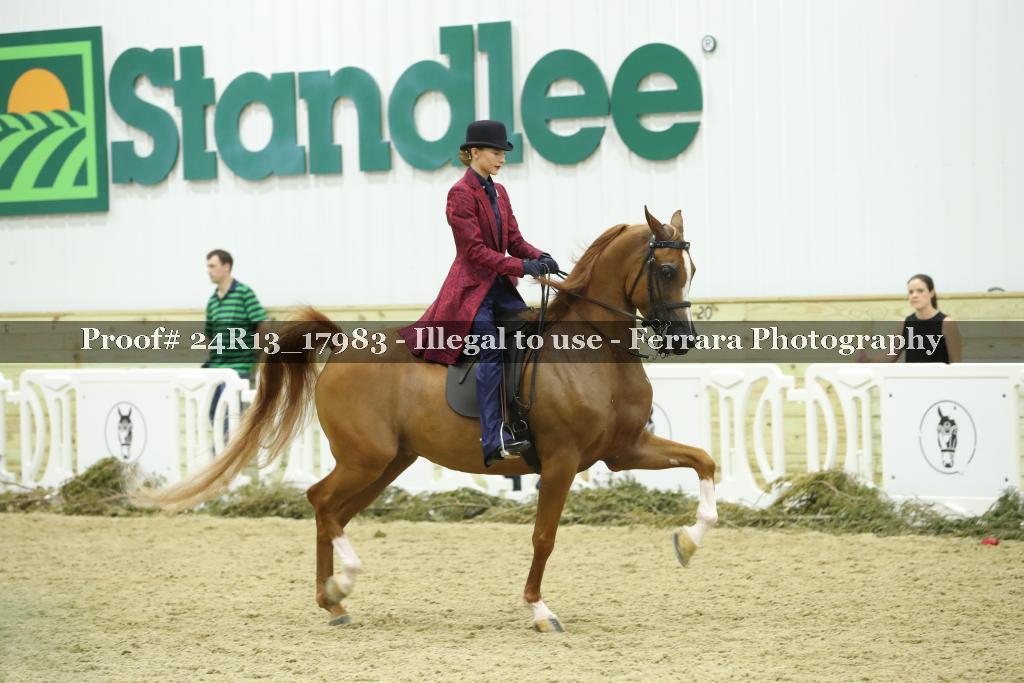 Proof Number 24R13_17983