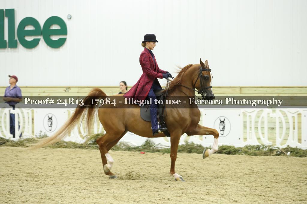 Proof Number 24R13_17984