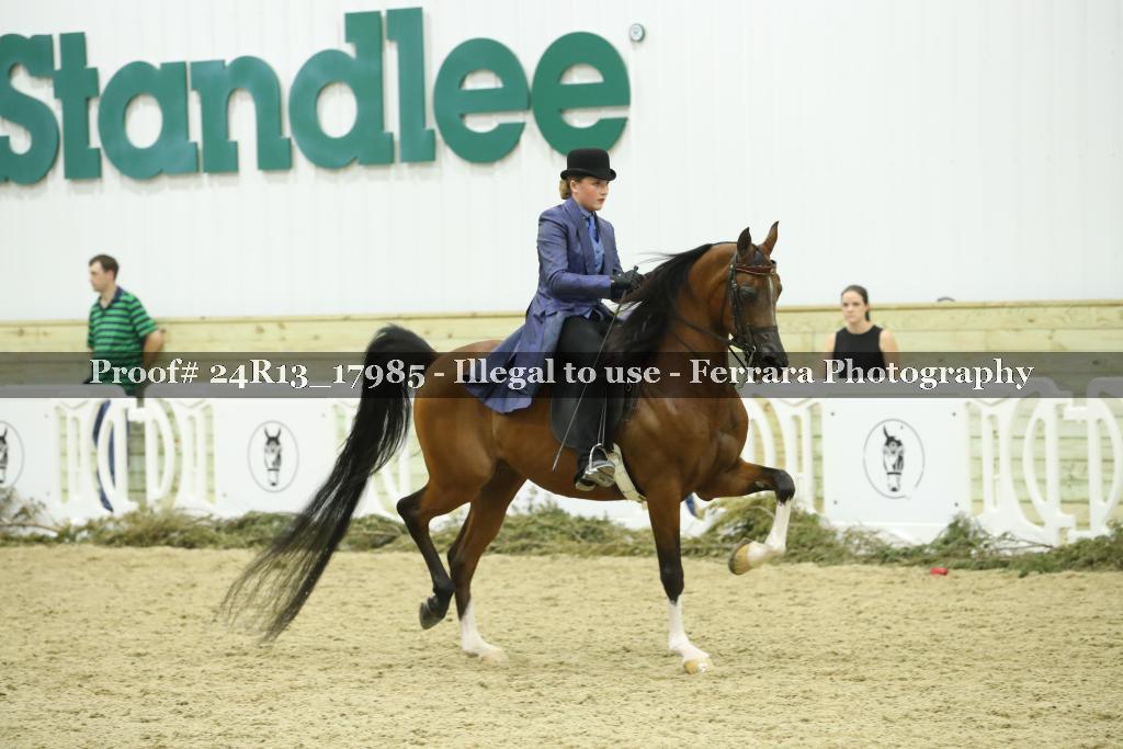 Proof Number 24R13_17985