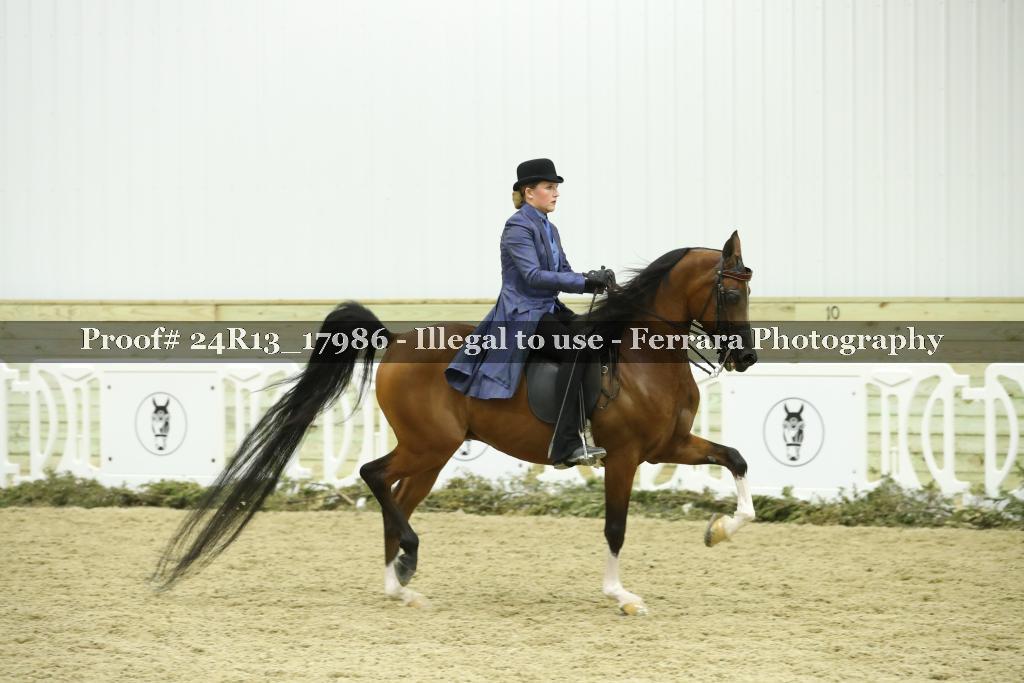 Proof Number 24R13_17986