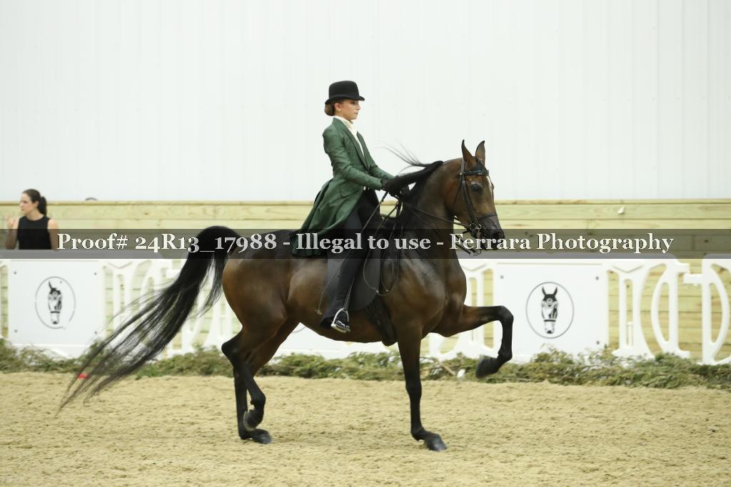 Proof Number 24R13_17988