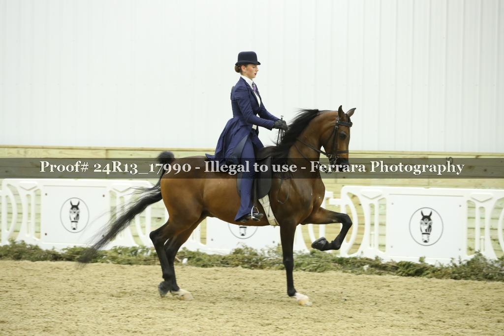 Proof Number 24R13_17990