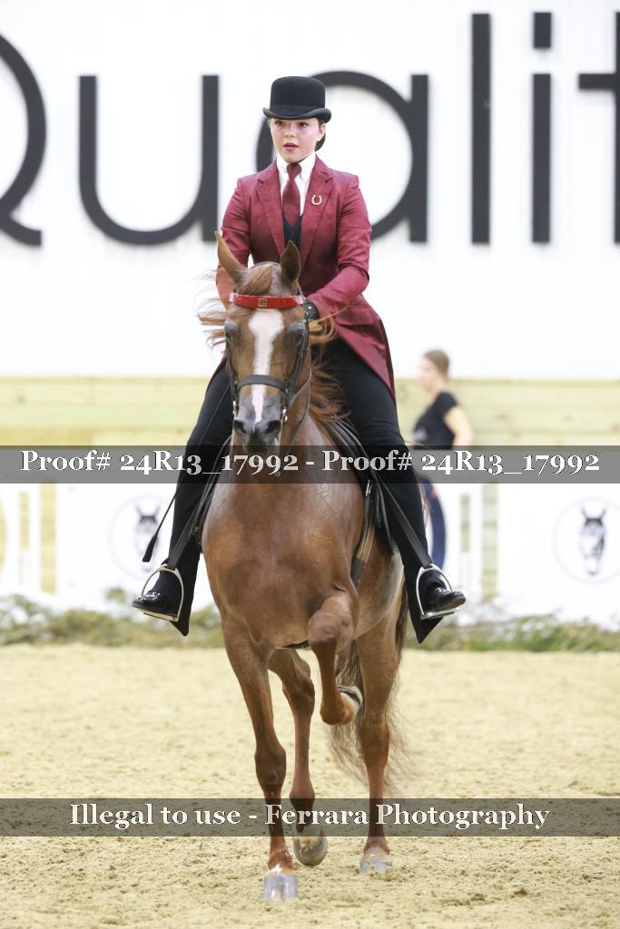 Proof Number 24R13_17992