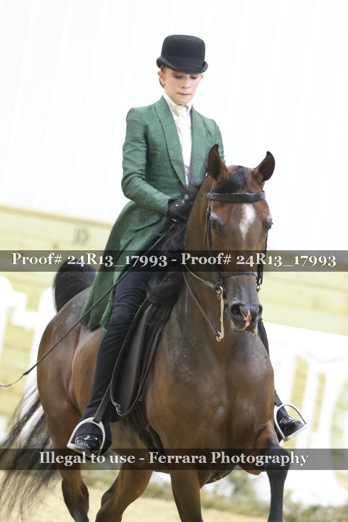 Proof Number 24R13_17993