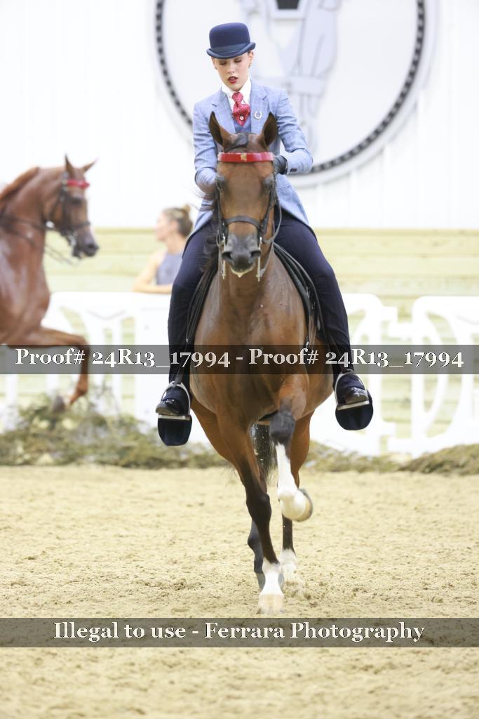 Proof Number 24R13_17994