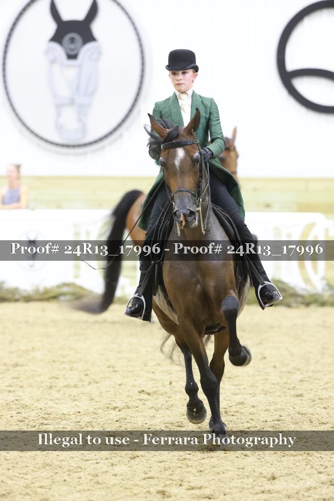 Proof Number 24R13_17996