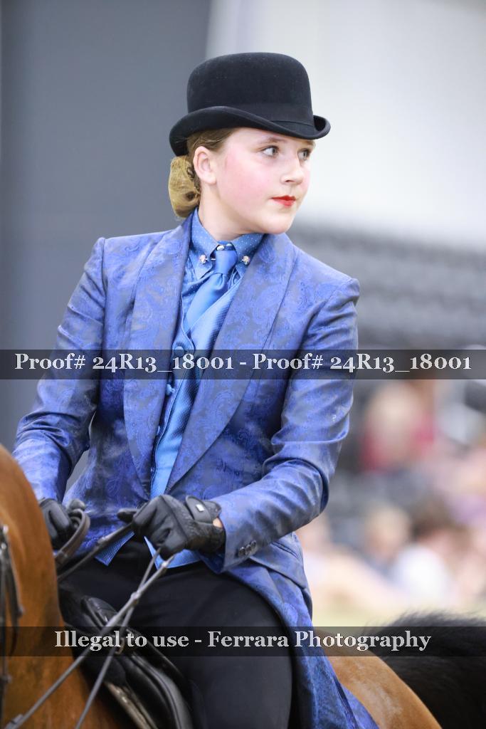 Proof Number 24R13_18001