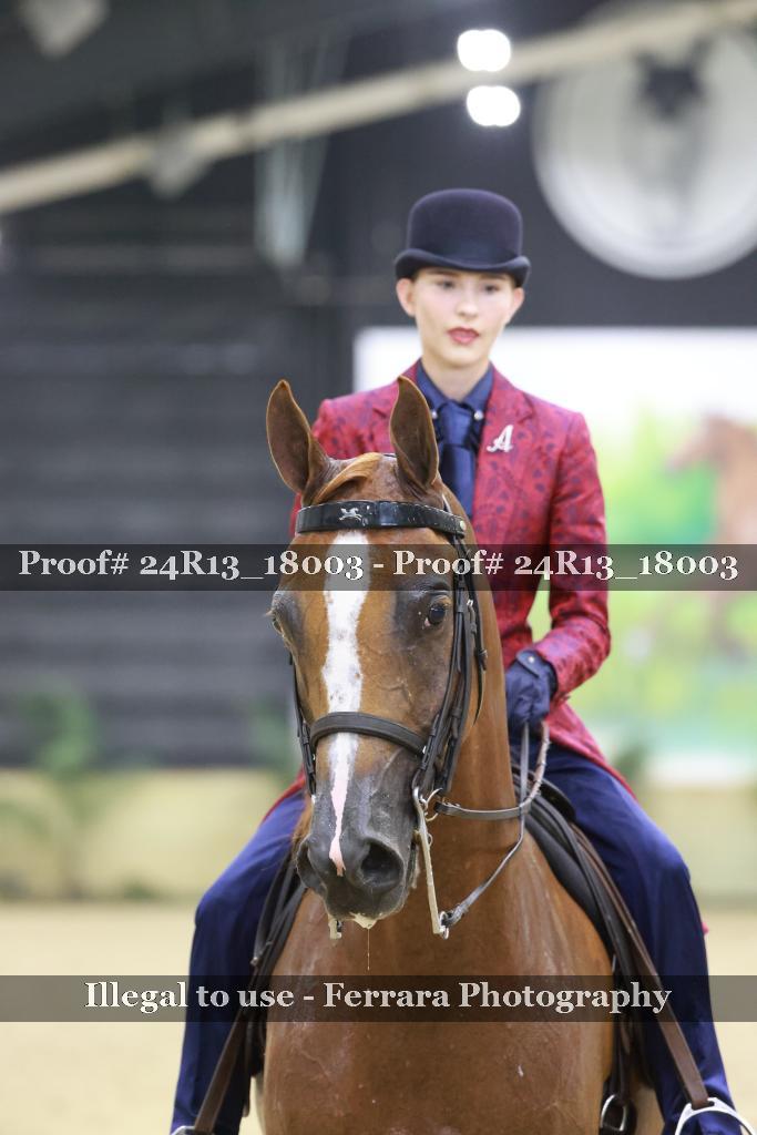 Proof Number 24R13_18003