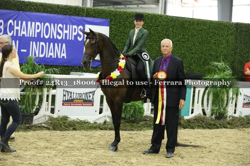 Proof Number 24R13_18006
