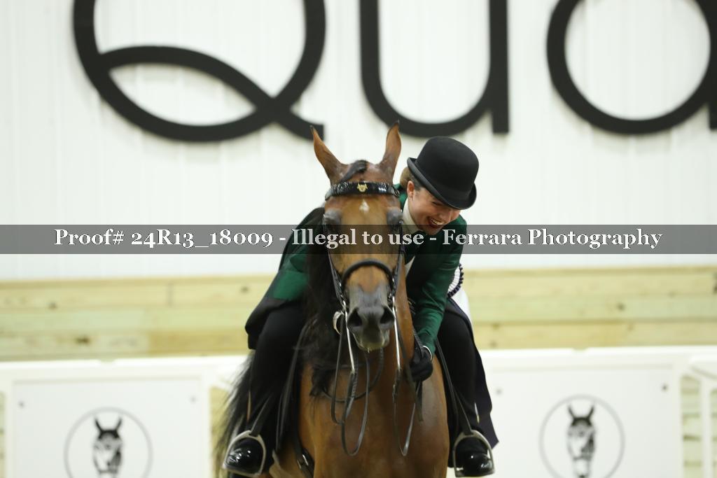 Proof Number 24R13_18009
