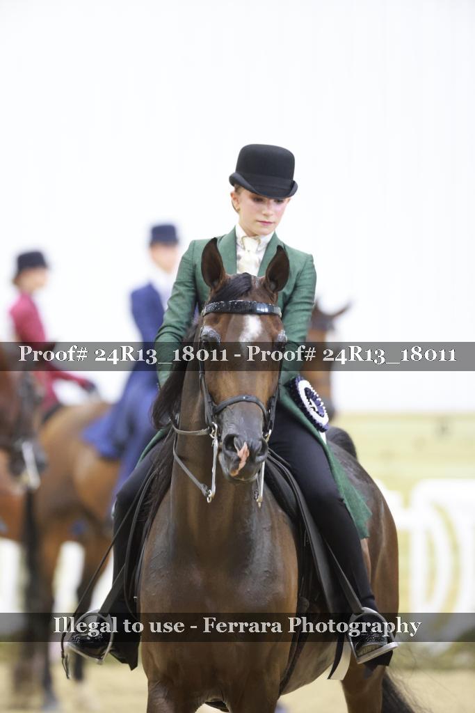 Proof Number 24R13_18011