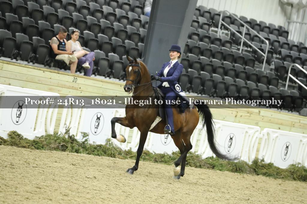 Proof Number 24R13_18021