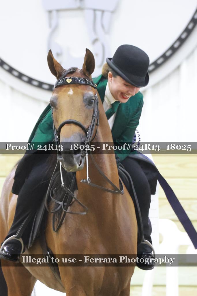 Proof Number 24R13_18025