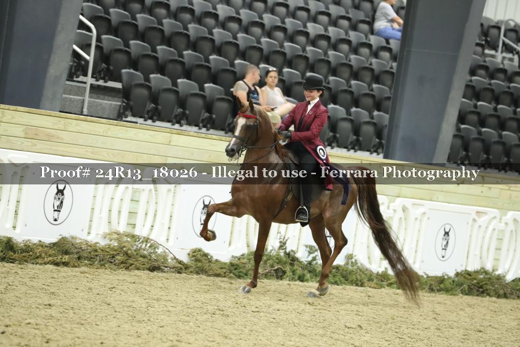 Proof Number 24R13_18026