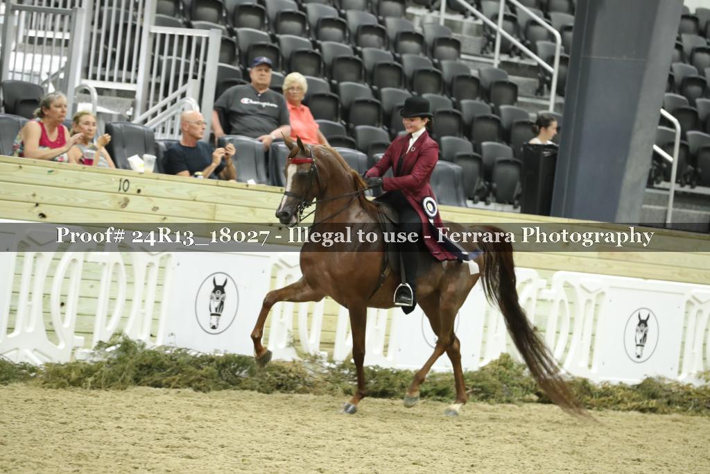 Proof Number 24R13_18027