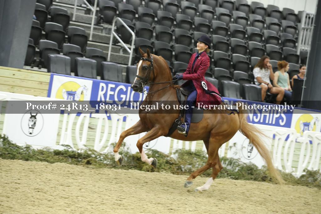 Proof Number 24R13_18031