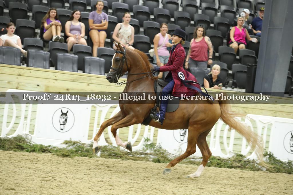 Proof Number 24R13_18032