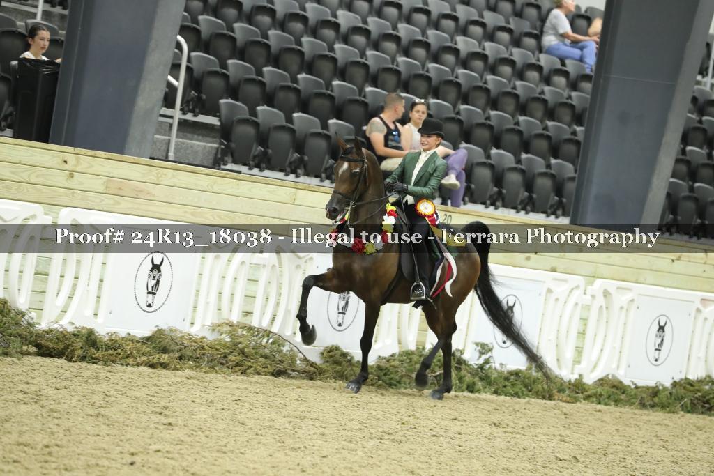 Proof Number 24R13_18038