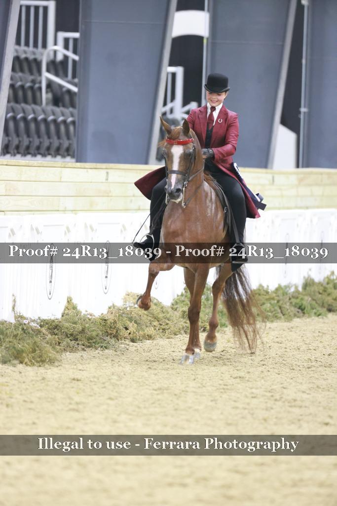 Proof Number 24R13_18039