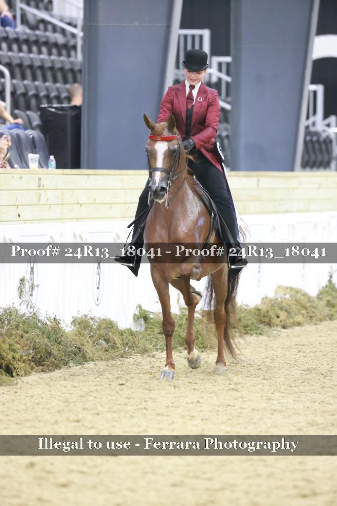 Proof Number 24R13_18041