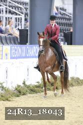 24R13_18043 thumbnail