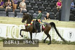 24R13_18047 thumbnail
