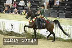 24R13_18048 thumbnail