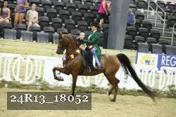 24R13_18052 thumbnail