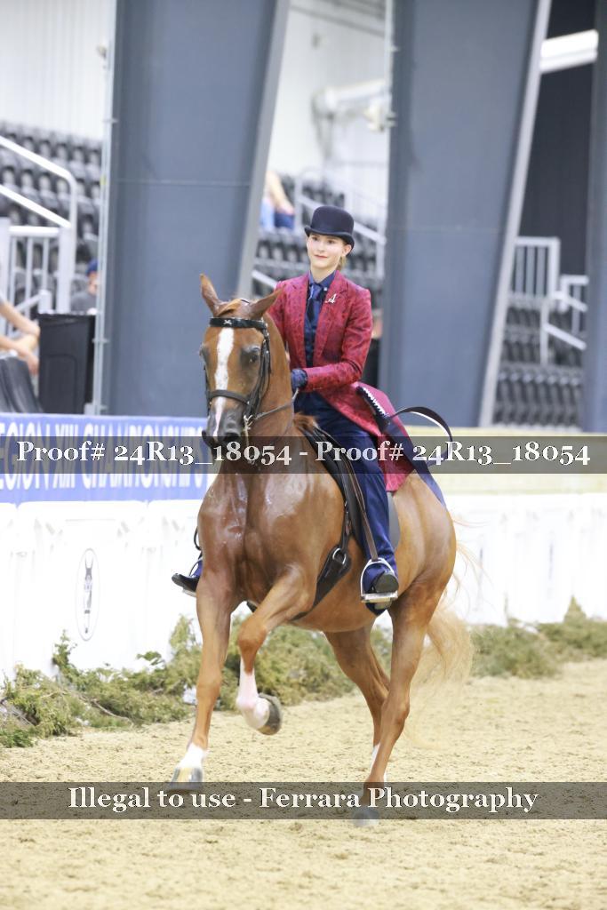 Proof Number 24R13_18054
