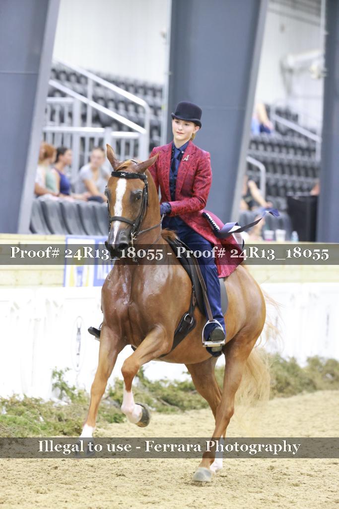 Proof Number 24R13_18055