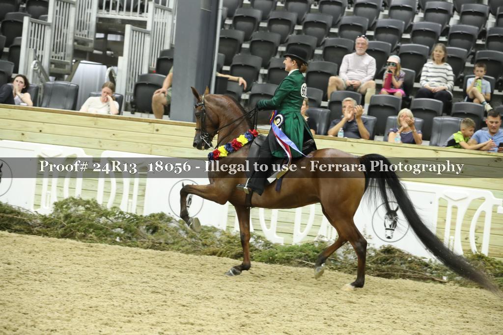 Proof Number 24R13_18056