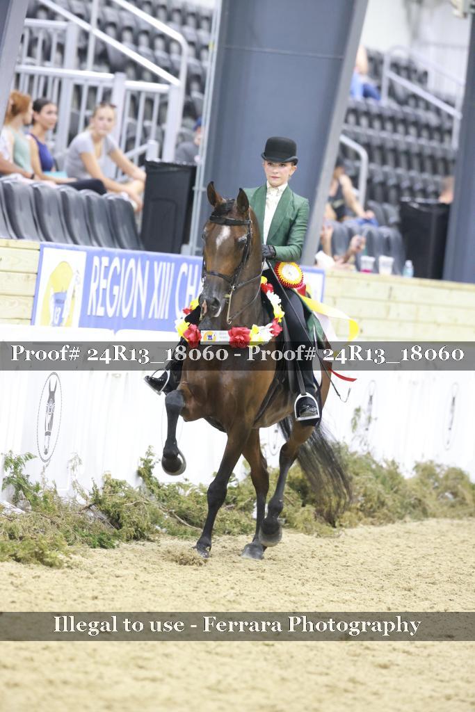 Proof Number 24R13_18060