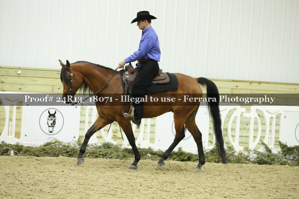 Proof Number 24R13_18071