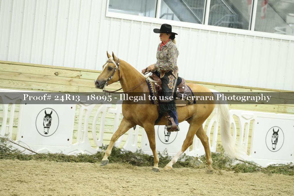 Proof Number 24R13_18095