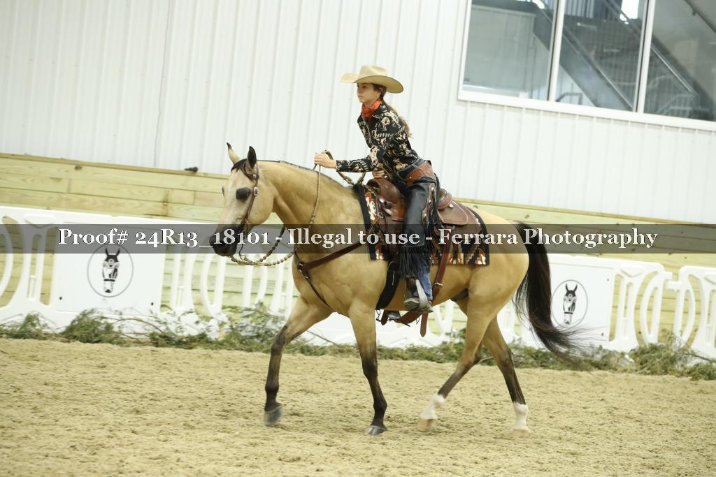 Proof Number 24R13_18101