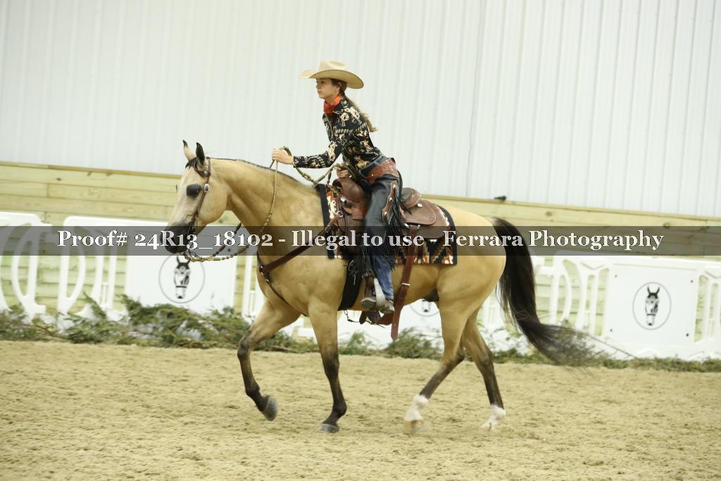 Proof Number 24R13_18102