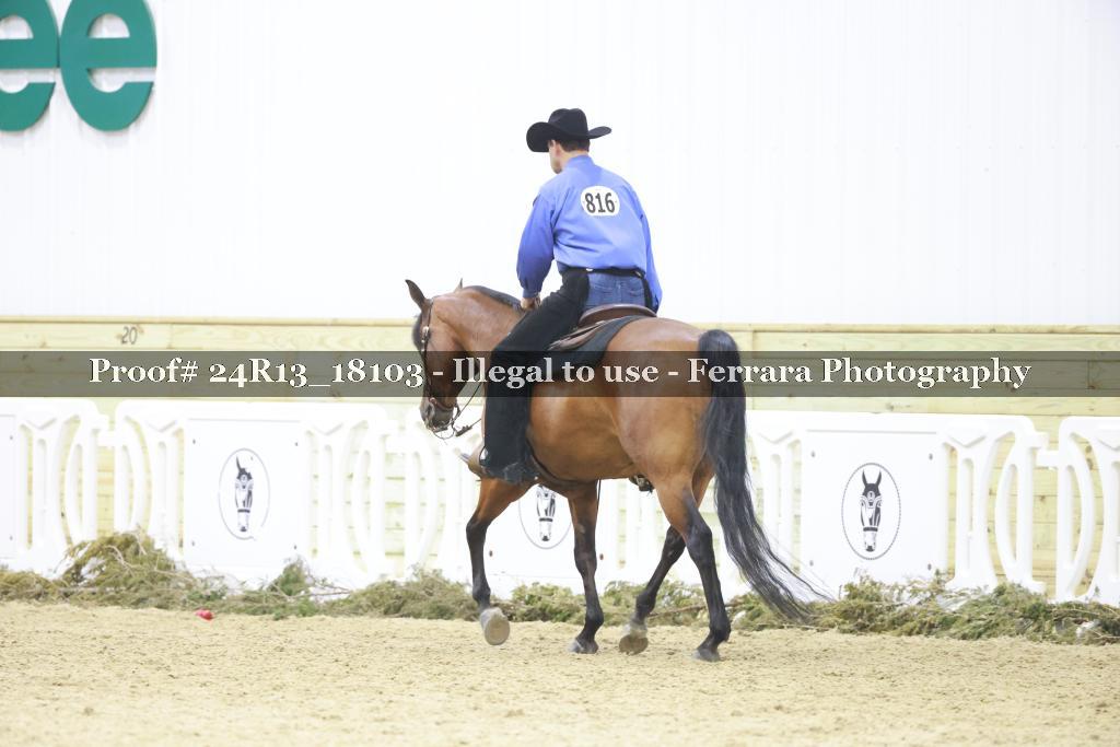 Proof Number 24R13_18103