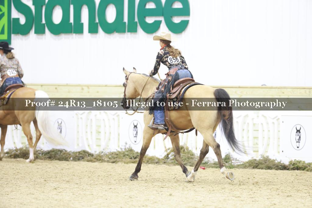 Proof Number 24R13_18105