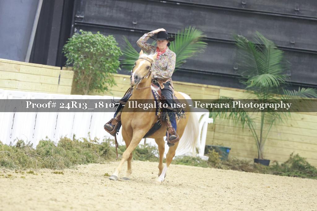 Proof Number 24R13_18107