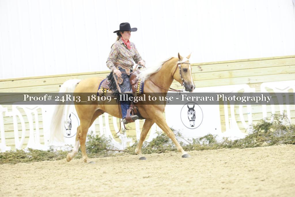 Proof Number 24R13_18109