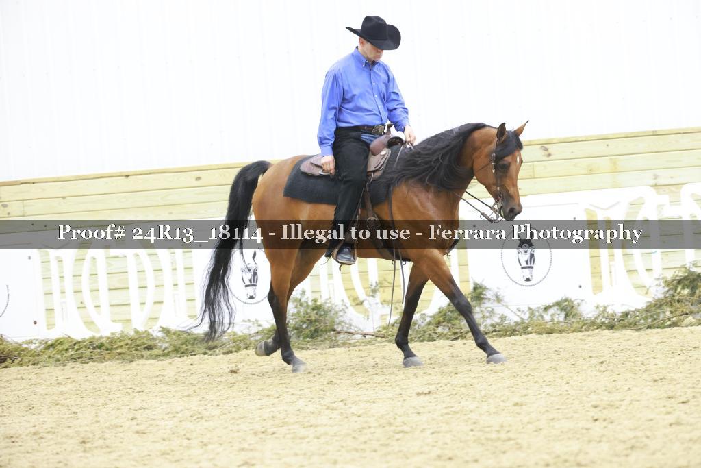 Proof Number 24R13_18114