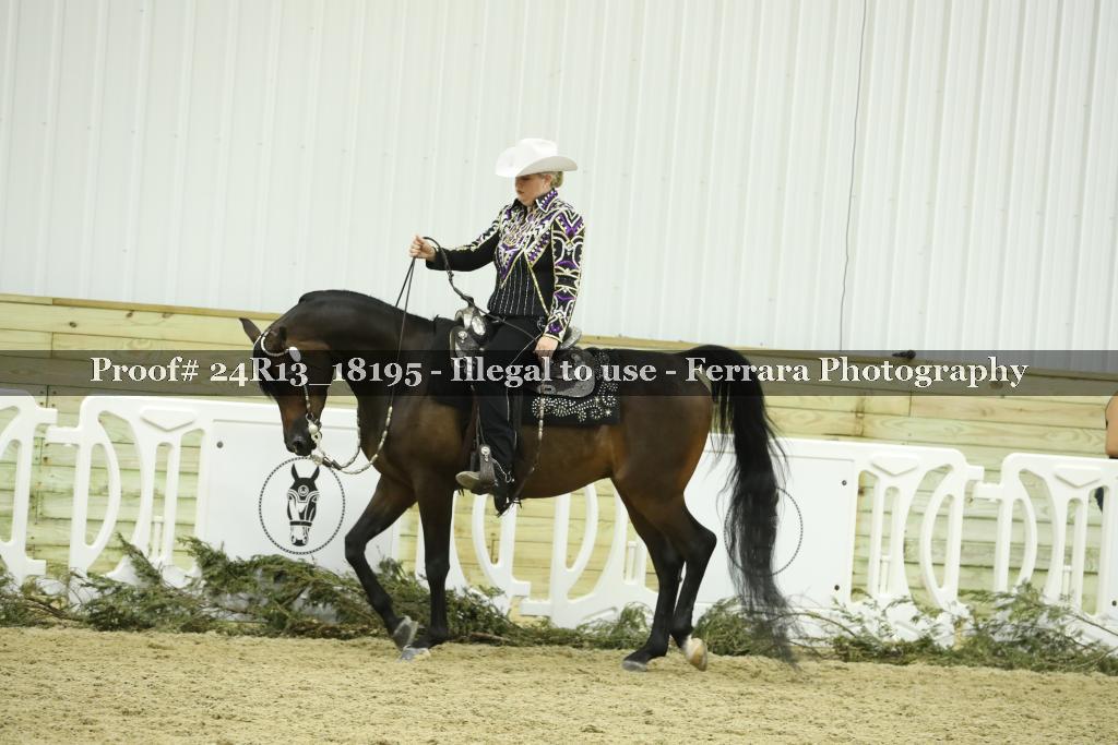 Proof Number 24R13_18195