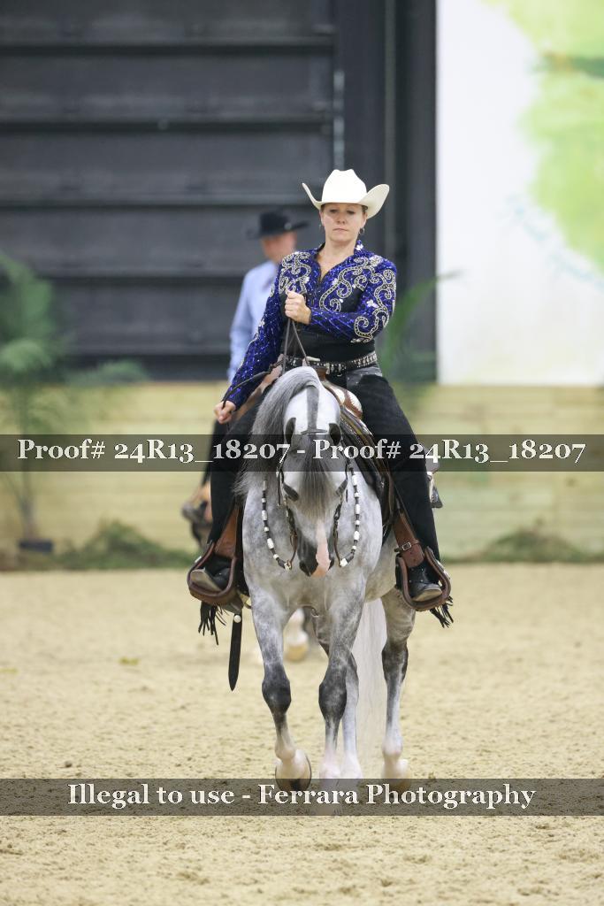 Proof Number 24R13_18207