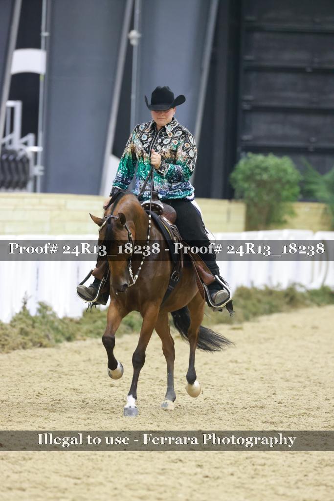 Proof Number 24R13_18238
