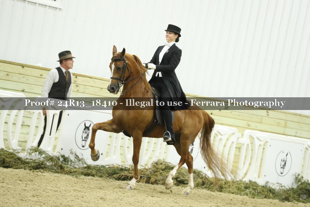 Proof Number 24R13_18410
