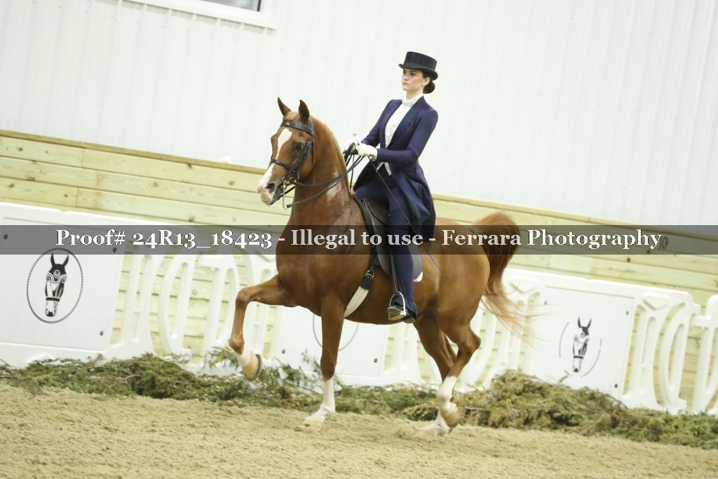 Proof Number 24R13_18423