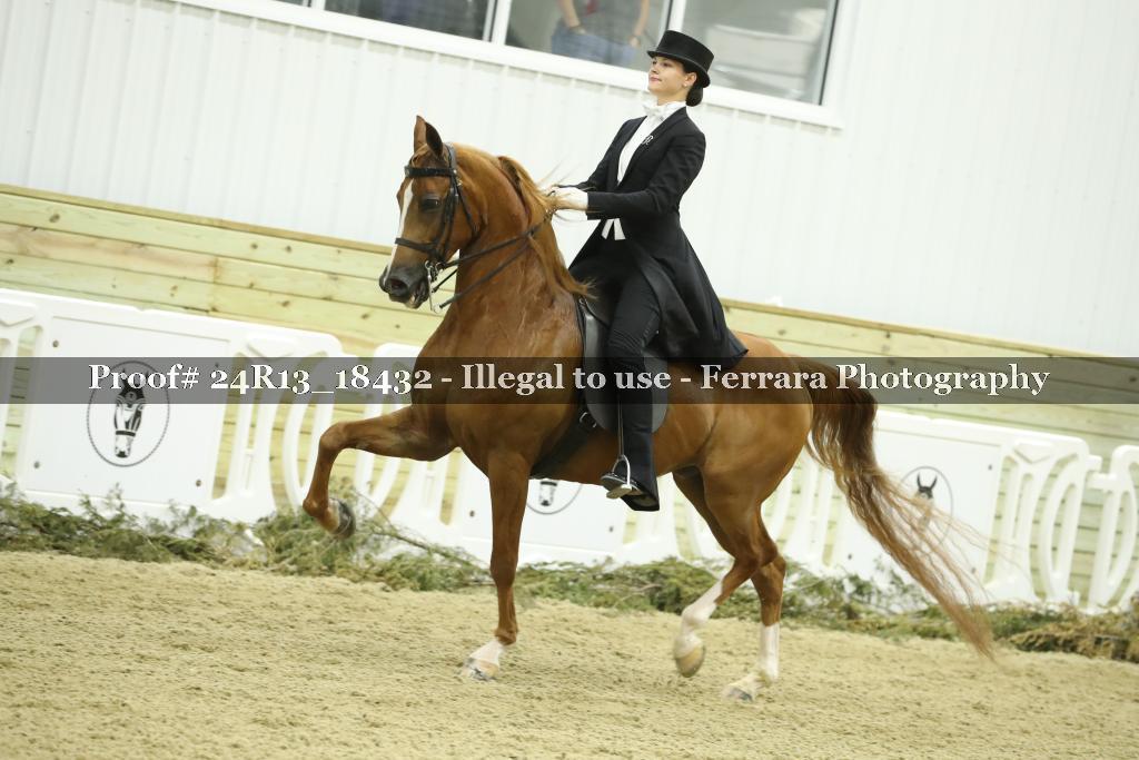 Proof Number 24R13_18432