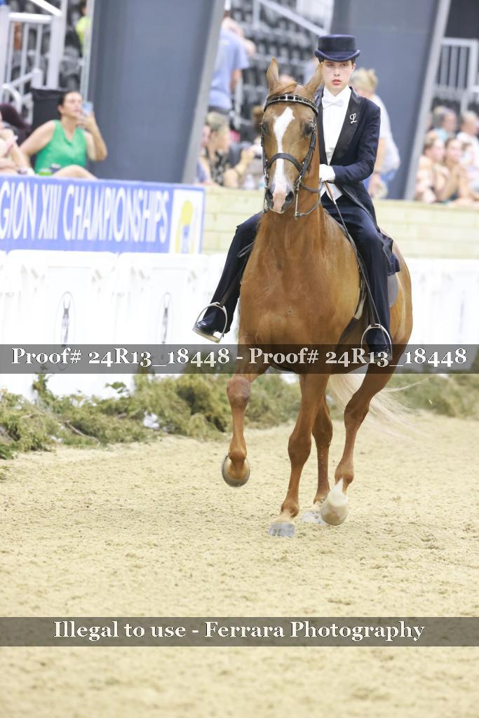 Proof Number 24R13_18448